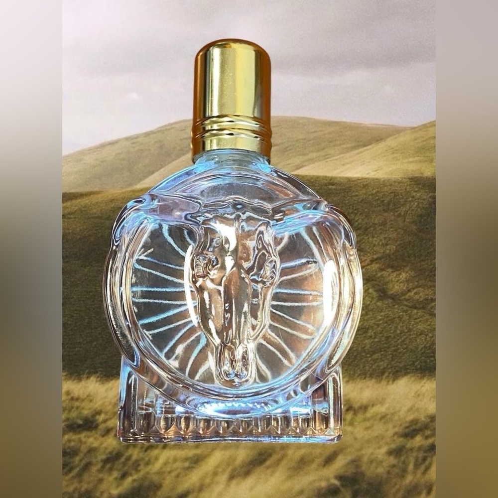 Vintage Western Rodeo Glass Perfume Bottle:Bottle Only!! Cottage Prairie Cowboy